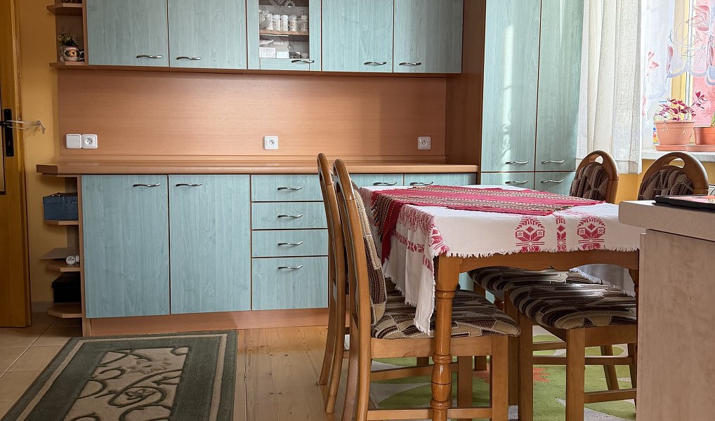 Prodej domu 250 m² s pozemkem 1 245 m², Spálov – náhled fotky 15