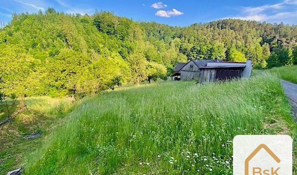 Prodej stavebního pozemku 2 434 m², Koberovy – náhled fotky 11