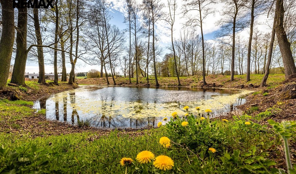 Prodej domu 415 m² s pozemkem 4 660 m², Předslavice – náhled fotky 12
