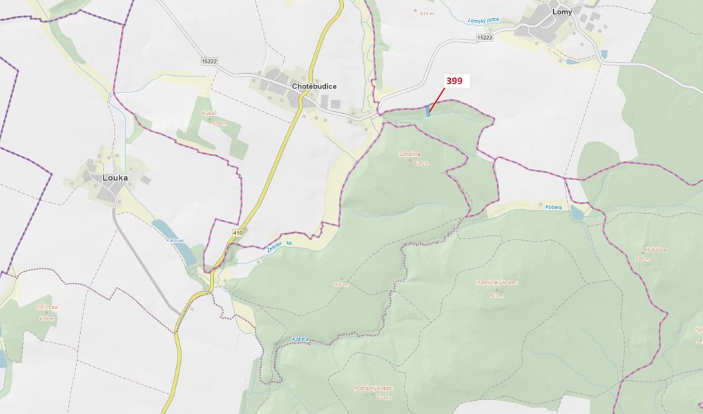 Dražba lesa, 2054 m², Třebíč, Chotěbudice