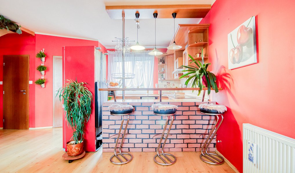 Prodej domu 252 m² s pozemkem 1 091 m², Nepřevázka – náhled fotky 8
