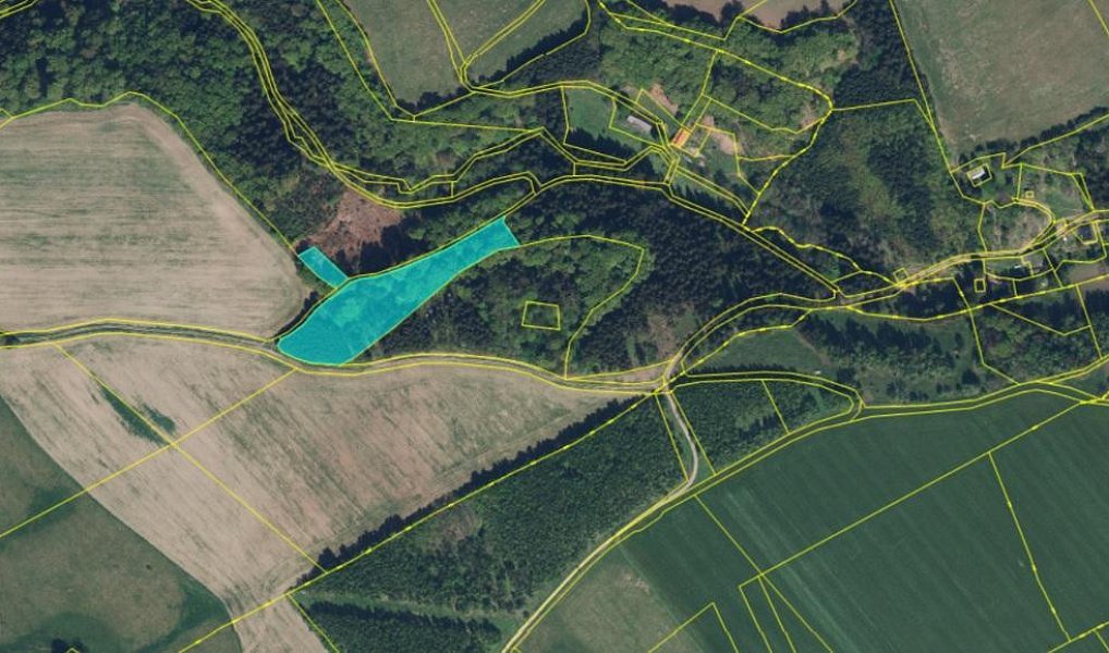 Prodej lesa 9 005 m², Liberk – náhled fotky 9