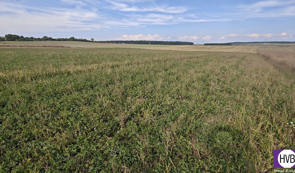 Prodej stavebního pozemku 3 767 m², Bělušice – náhled fotky 10