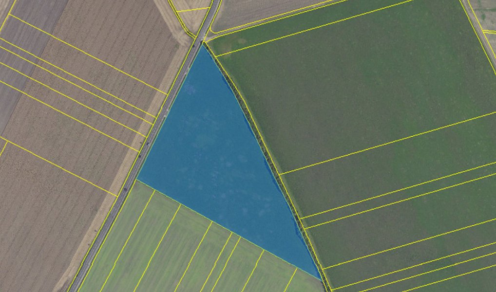 Prodej pole 40 299 m², Kněžice – náhled fotky 3
