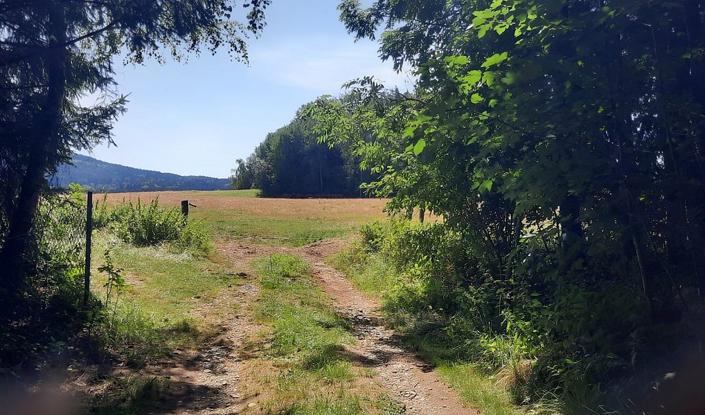 Prodej louky 12 444 m², Benešov nad Černou – náhled fotky 5