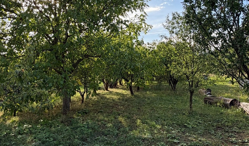 Prodej domu 45 m² s pozemkem 2 083 m², Vřesovice – náhled fotky 15