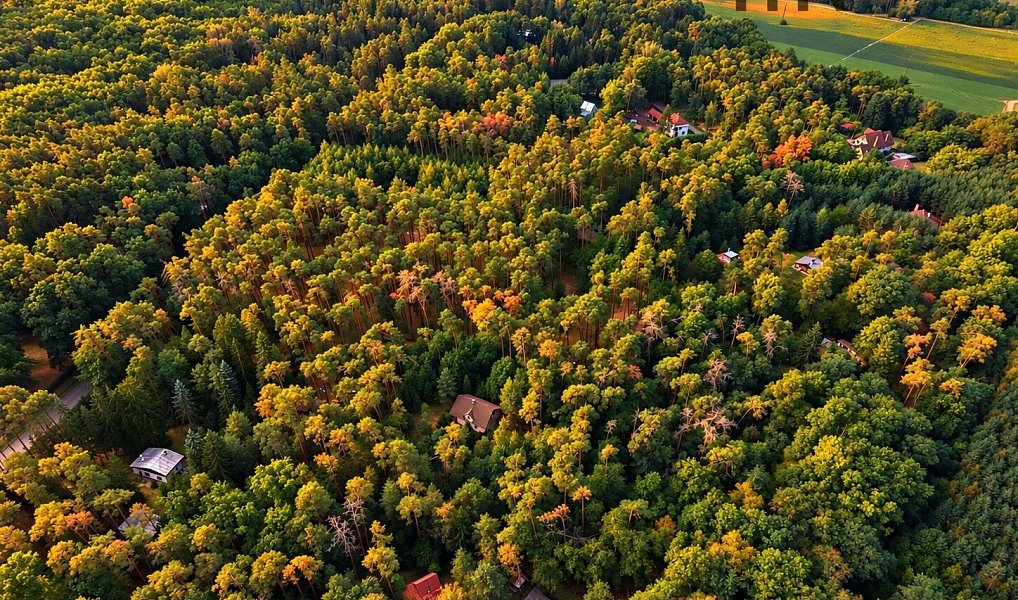 Prodej stavebního pozemku 4 383 m², Hradištko – náhled fotky 4