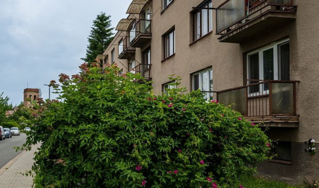 Prodej bytu 3+1 62 m², Doudleby nad Orlicí – náhled fotky 15