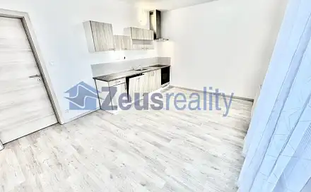 Pronájem bytu 1+1 39 m²
