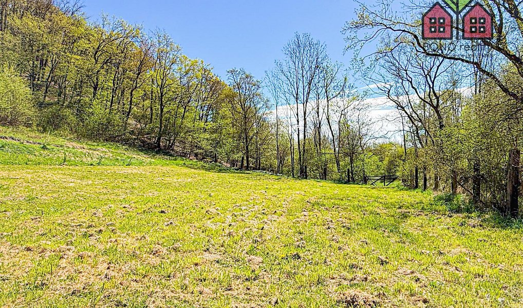 Prodej zahrady 4 999 m², Žitenice – náhled fotky 20