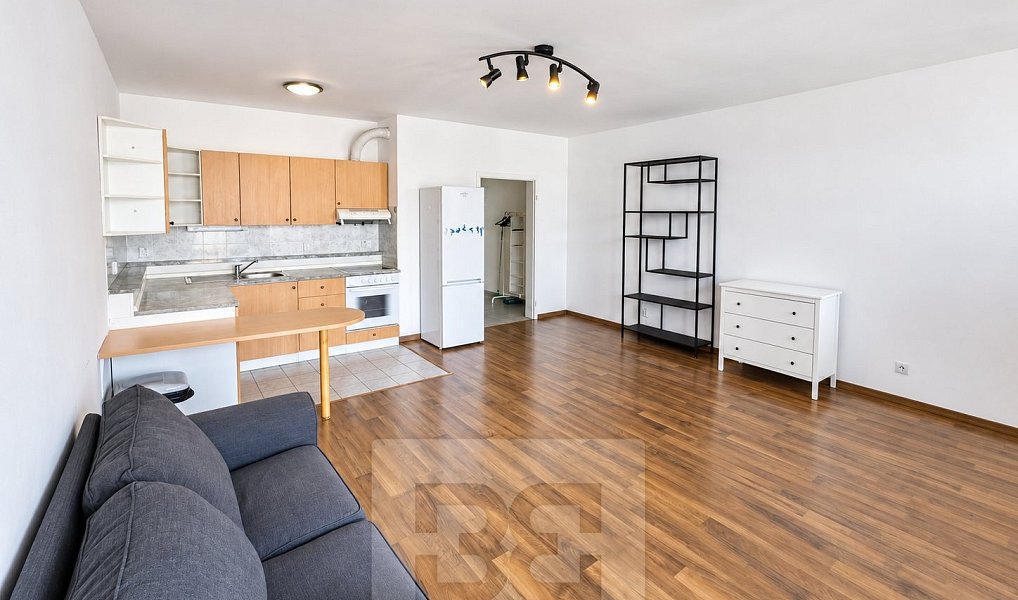 Pronájem bytu 1+kk 43 m², Praha – náhled fotky 5