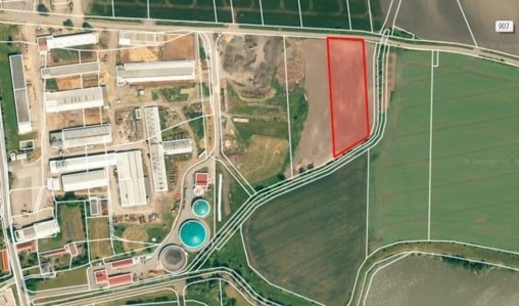 Prodej stavebního pozemku 6 174 m², Kněžice – náhled fotky 2