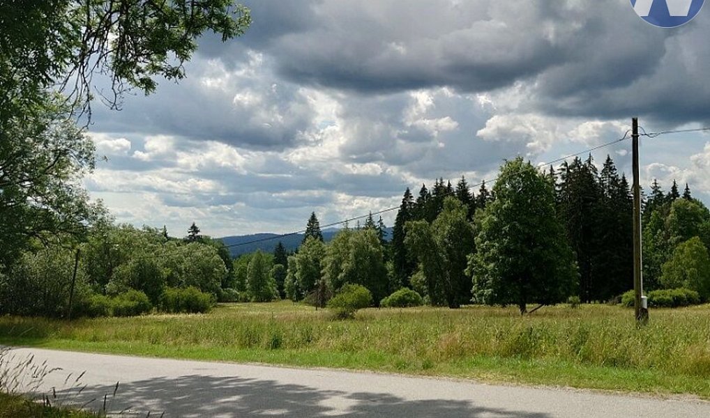 Prodej louky 18 127 m², Stožec – náhled fotky 6
