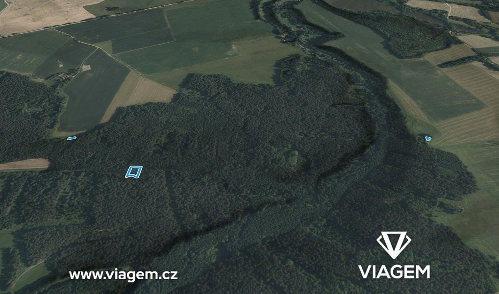 Prodej lesa 1 365 m², Římov – náhled fotky 4