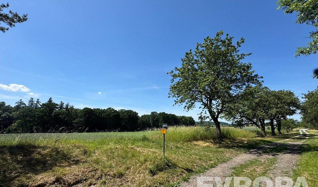 Prodej pole 7 494 m², Ledce – náhled fotky 3