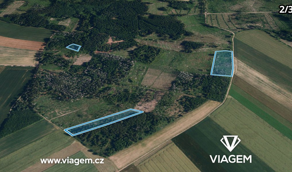 Prodej lesa 12 665 m², Radkovice u Budče – náhled fotky 6