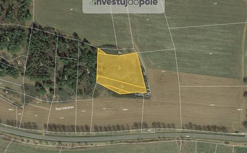 Prodej lesa 4 837 m², Čepřovice, okres Strakonice