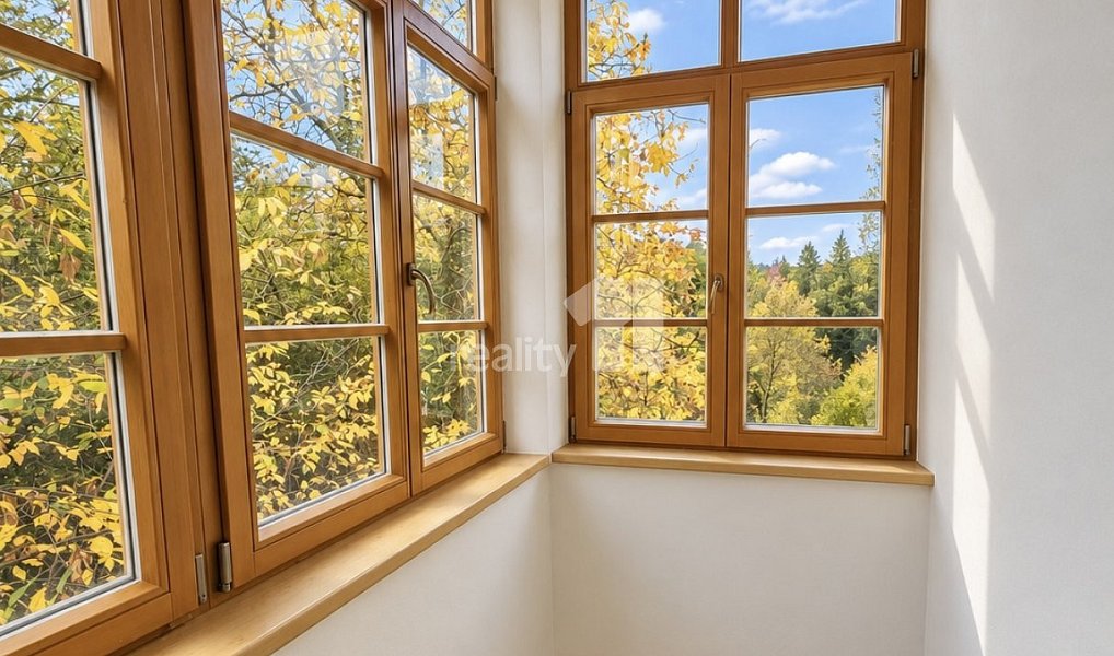 Pronájem bytu 2+kk 46 m², Praha – náhled fotky 4