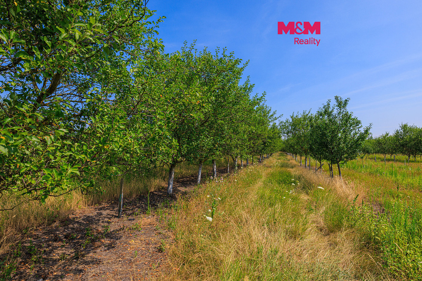 Prodej pole 53 078 m²