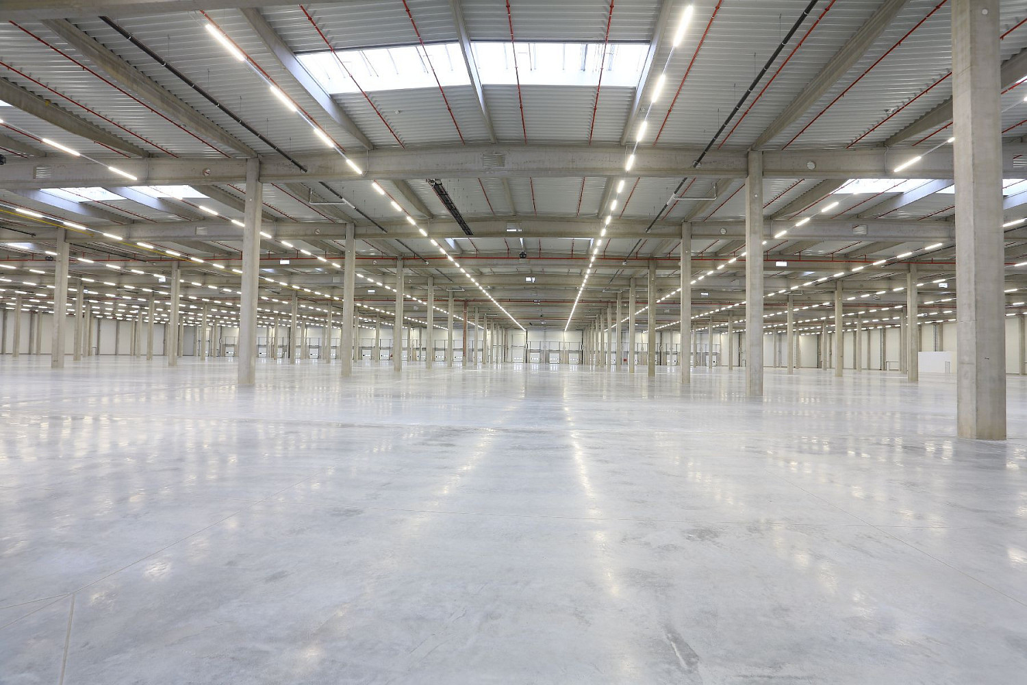 Pronájem skladovacích prostor 7 000 m² — photo 5
