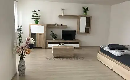 Pronájem bytu 1+kk 48 m²