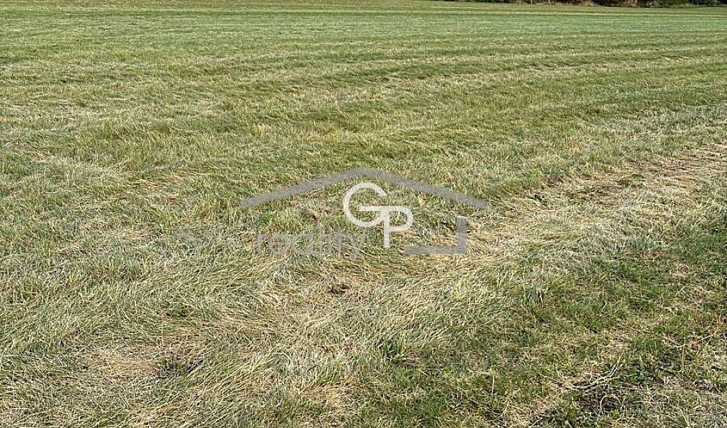 Prodej stavebního pozemku 4 150 m², Ševětín – fotka 1 z 6