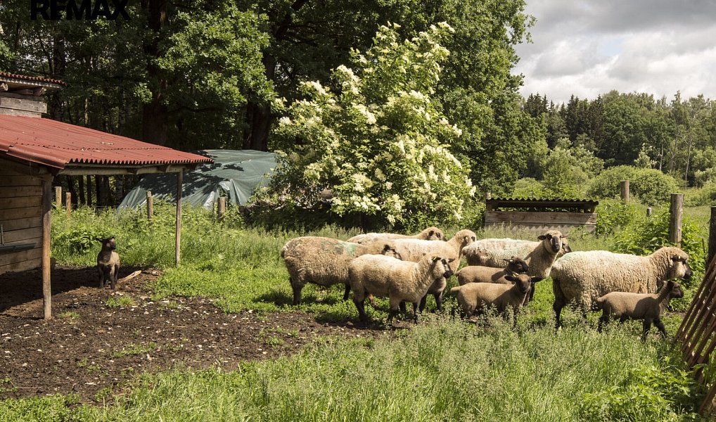Prodej zemědělského objektu 550 m², Strmilov – náhled fotky 28
