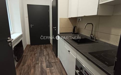 Pronájem bytu 1+1 37 m², Petrovice, okres Ústí nad Labem