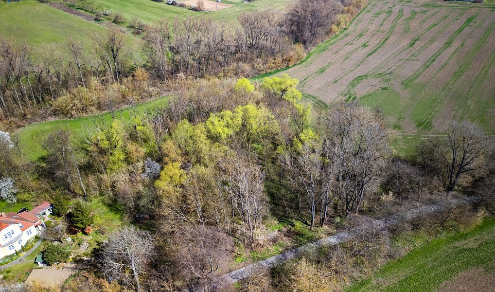 Prodej stavebního pozemku 7 787 m², Rousínov – náhled fotky 5
