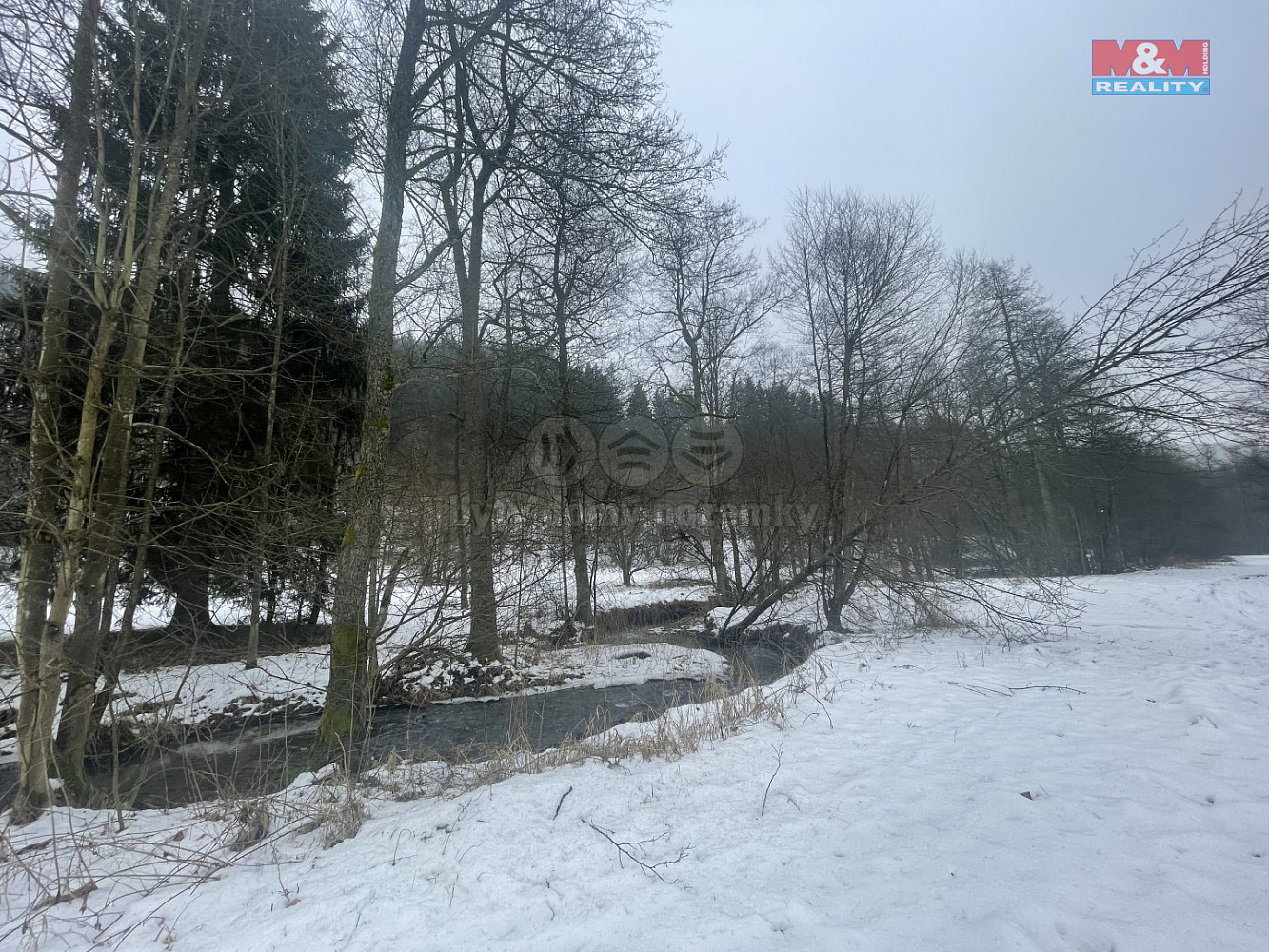 Prodej lesa 43 832 m² — photo 2