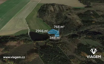 Prodej lesa 4 700 m², Jemnice, okres Třebíč