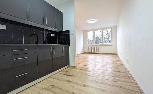 Pronájem bytu 2+kk 42 m², Šeříková, Most