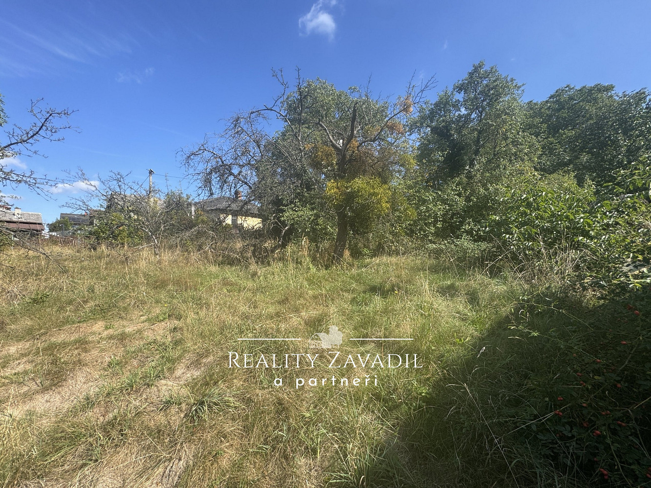 Prodej stavebního pozemku 1 272 m² – fotografie 3