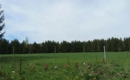 Dražba louky 9 277 m², Raškovice