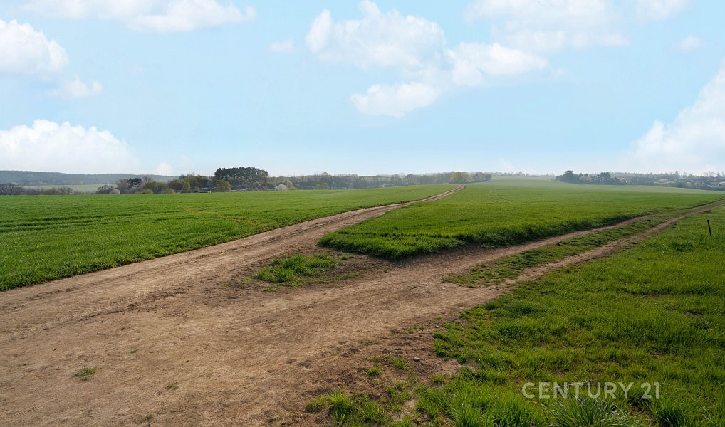 Prodej stavebního pozemku 3 119 m², Ráječko – náhled fotky 4