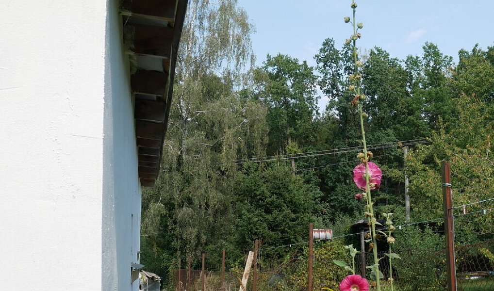 Prodej chaty/chalupy 63 m² s pozemkem 843 m², Psáry – náhled fotky 13