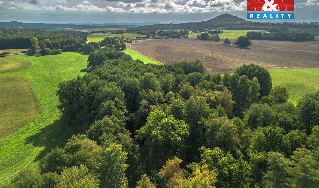 Prodej vodní plochy 19 785 m², Nový Bor – náhled fotky 3