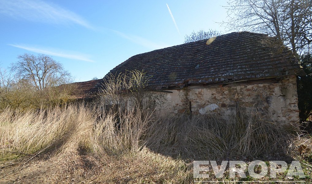 Prodej domu 780 m² s pozemkem 5 958 m², Dolní Hbity – náhled fotky 13
