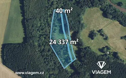Prodej lesa 21 329 m², Sudislav nad Orlicí, okres Ústí nad Orlicí