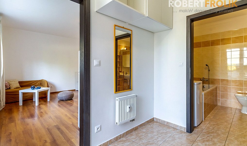 Pronájem bytu 1+kk 30 m², Svémyslice – náhled fotky 10