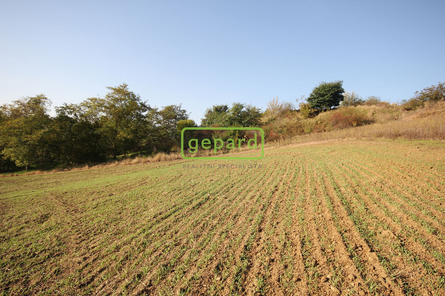 Prodej stavebního pozemku 3 885 m² – fotografie 2
