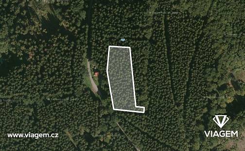 Prodej lesa 2 087 m², Morávka, okres Frýdek-Místek