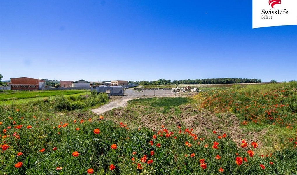 Prodej komerčního pozemku 15 440 m², Chotíkov – náhled fotky 4