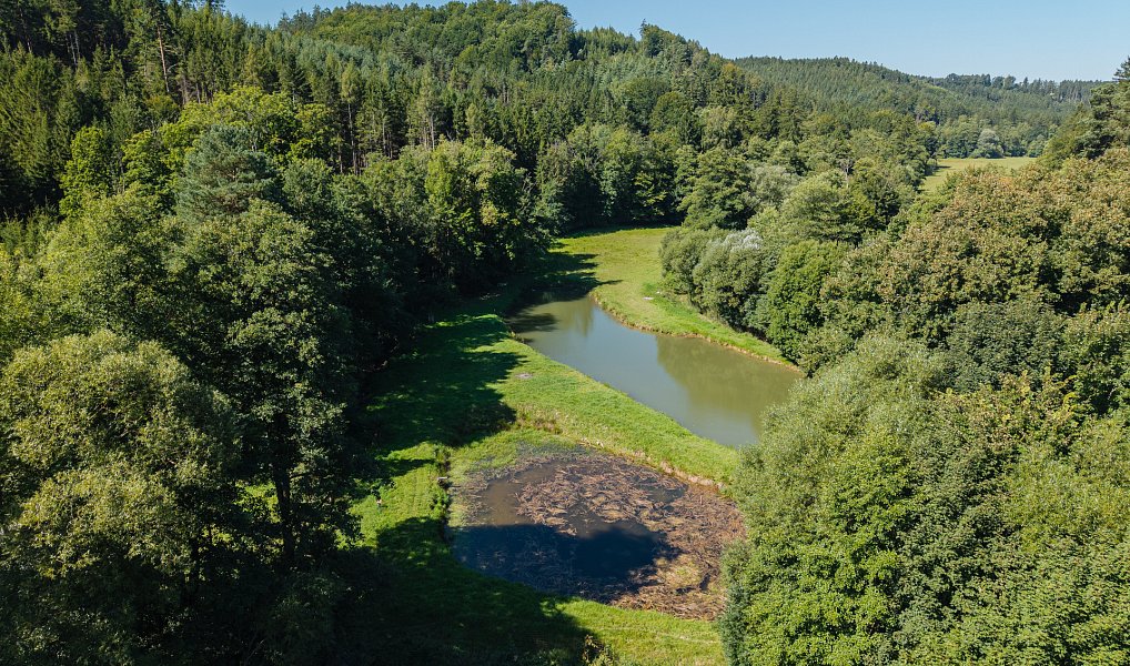 Pronájem vodní plochy 8 295 m², Nové Hrady – náhled fotky 9