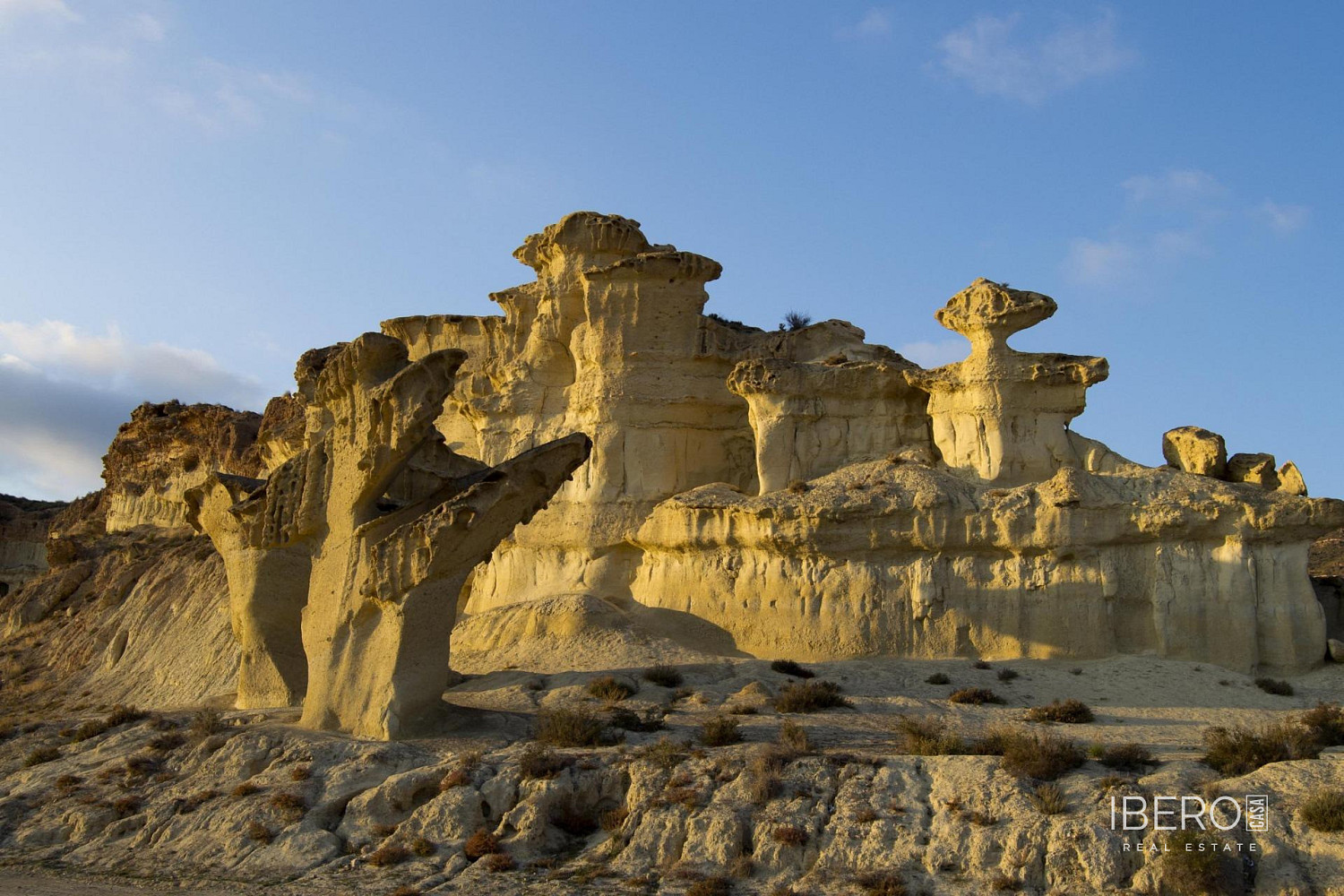 Fotka 14 z 19