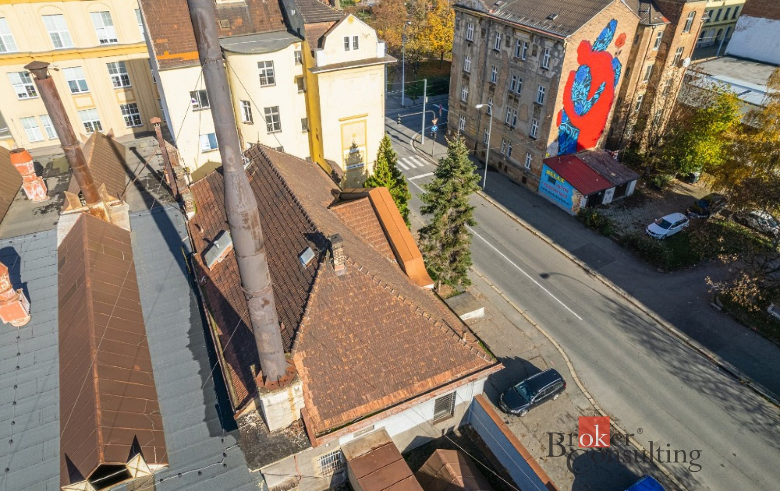 Prodej obchodních prostor 246 m² – fotografie 3