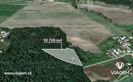 Prodej lesa 5 360 m², Dašice, okres Pardubice