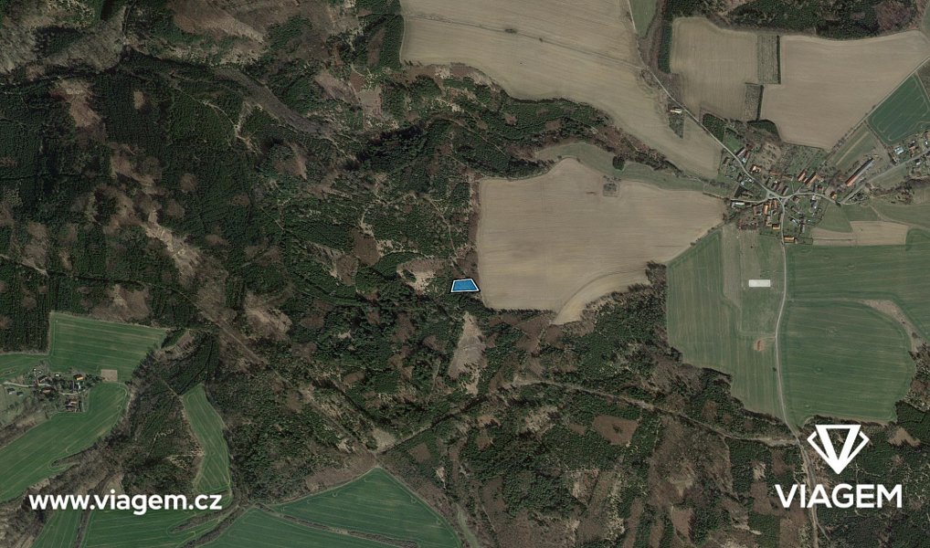 Prodej lesa 1 292 m², Řendějov – náhled fotky 3