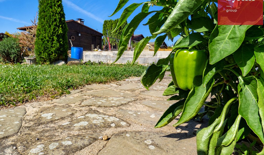 Prodej zahrady 270 m², Opava – náhled fotky 12