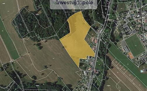 Prodej louky 7 252 m², Liberecká, Mníšek, okres Liberec